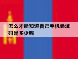 怎么才能知道自己手机验证码是多少呢