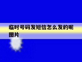 临时号码发短信怎么发的呢图片