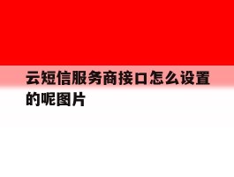 关于云短信服务商接口怎么设置的呢图片的信息