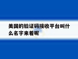 美国的验证码接收平台叫什么名字来着呢的简单介绍