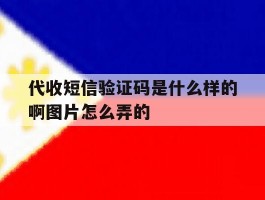 代收短信验证码是什么样的啊图片怎么弄的