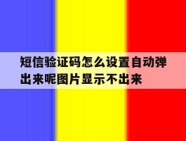 关于短信验证码怎么设置自动弹出来呢图片显示不出来的信息