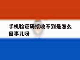 手机验证码接收不到是怎么回事儿呀