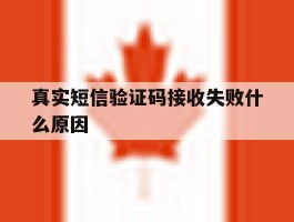 真实短信验证码接收失败什么原因