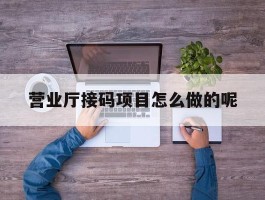 营业厅接码项目怎么做的呢