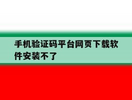 手机验证码平台网页下载软件安装不了