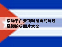 接码平台要钱吗是真的吗还是假的呀图片大全