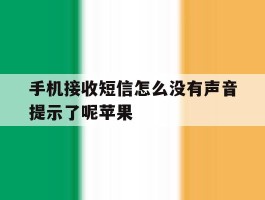 手机接收短信怎么没有声音提示了呢苹果
