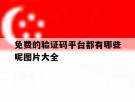 免费的验证码平台都有哪些呢图片大全
