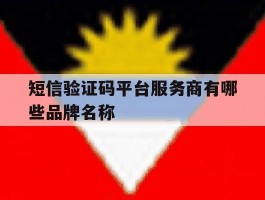 包含短信验证码平台服务商有哪些品牌名称的词条