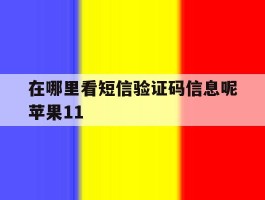 在哪里看短信验证码信息呢苹果11