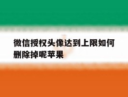 包含微信授权头像达到上限如何删除掉呢苹果的词条