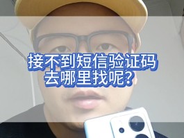 日本短信验证码平台有哪些软件
