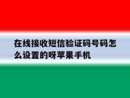 在线接收短信验证码号码怎么设置的呀苹果手机