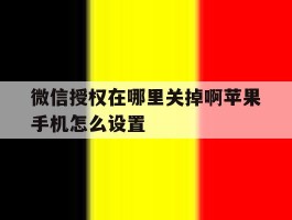 微信授权在哪里关掉啊苹果手机怎么设置