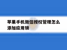 苹果手机微信授权管理怎么添加应用锁