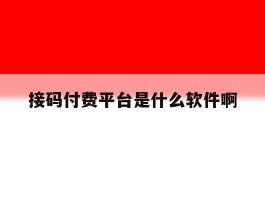 接码付费平台是什么软件啊
