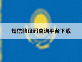 短信验证码查询平台下载