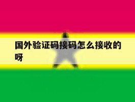 国外验证码接码怎么接收的呀