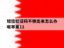 短信验证码不弹出来怎么办呢苹果11