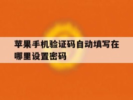 苹果手机验证码自动填写在哪里设置密码