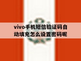 vivo手机短信验证码自动填充怎么设置密码呢