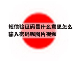 短信验证码是什么意思怎么输入密码呢图片视频的简单介绍