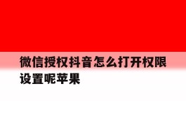 微信授权抖音怎么打开权限设置呢苹果