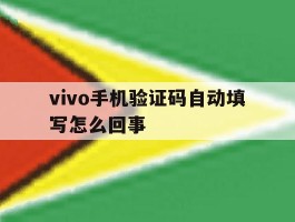 vivo手机验证码自动填写怎么回事