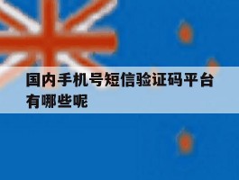 关于国内手机号短信验证码平台有哪些呢的信息