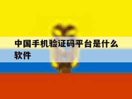 中国手机验证码平台是什么软件