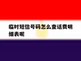 临时短信号码怎么查话费明细表呢