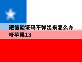 短信验证码不弹出来怎么办呀苹果13