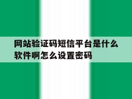 关于网站验证码短信平台是什么软件啊怎么设置密码的信息