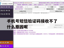 手机号短信验证码接收不了什么原因呢
