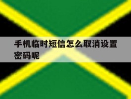 手机临时短信怎么取消设置密码呢