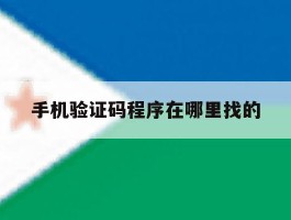手机验证码程序在哪里找的