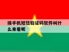 接手机短信验证码软件叫什么来着呢