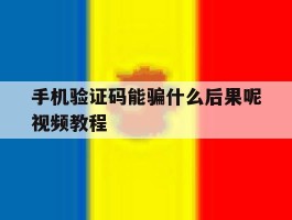 手机验证码能骗什么后果呢视频教程