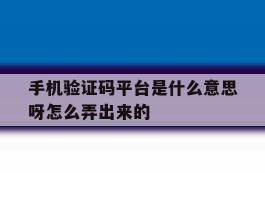 手机验证码平台是什么意思呀怎么弄出来的