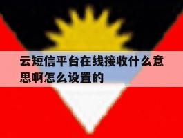 关于云短信平台在线接收什么意思啊怎么设置的的信息