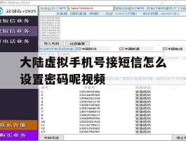 大陆虚拟手机号接短信怎么设置密码呢视频