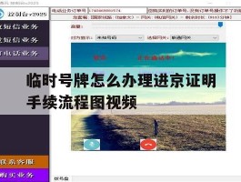临时号牌怎么办理进京证明手续流程图视频的简单介绍