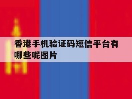 香港手机验证码短信平台有哪些呢图片