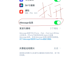 苹果手机验证码信息怎么不显示内容了