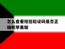 怎么查看短信验证码是否正确呢苹果版
