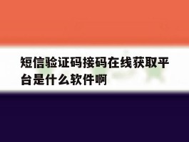 短信验证码接码在线获取平台是什么软件啊