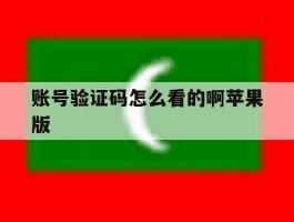 账号验证码怎么看的啊苹果版
