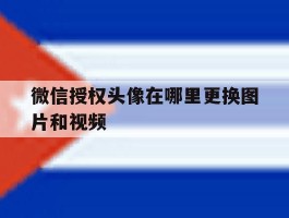 微信授权头像在哪里更换图片和视频