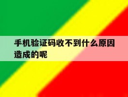 手机验证码收不到什么原因造成的呢